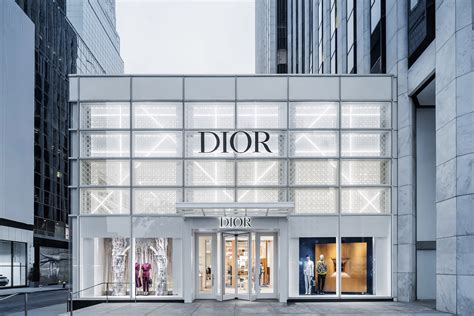 dior e shop|dior boutique.